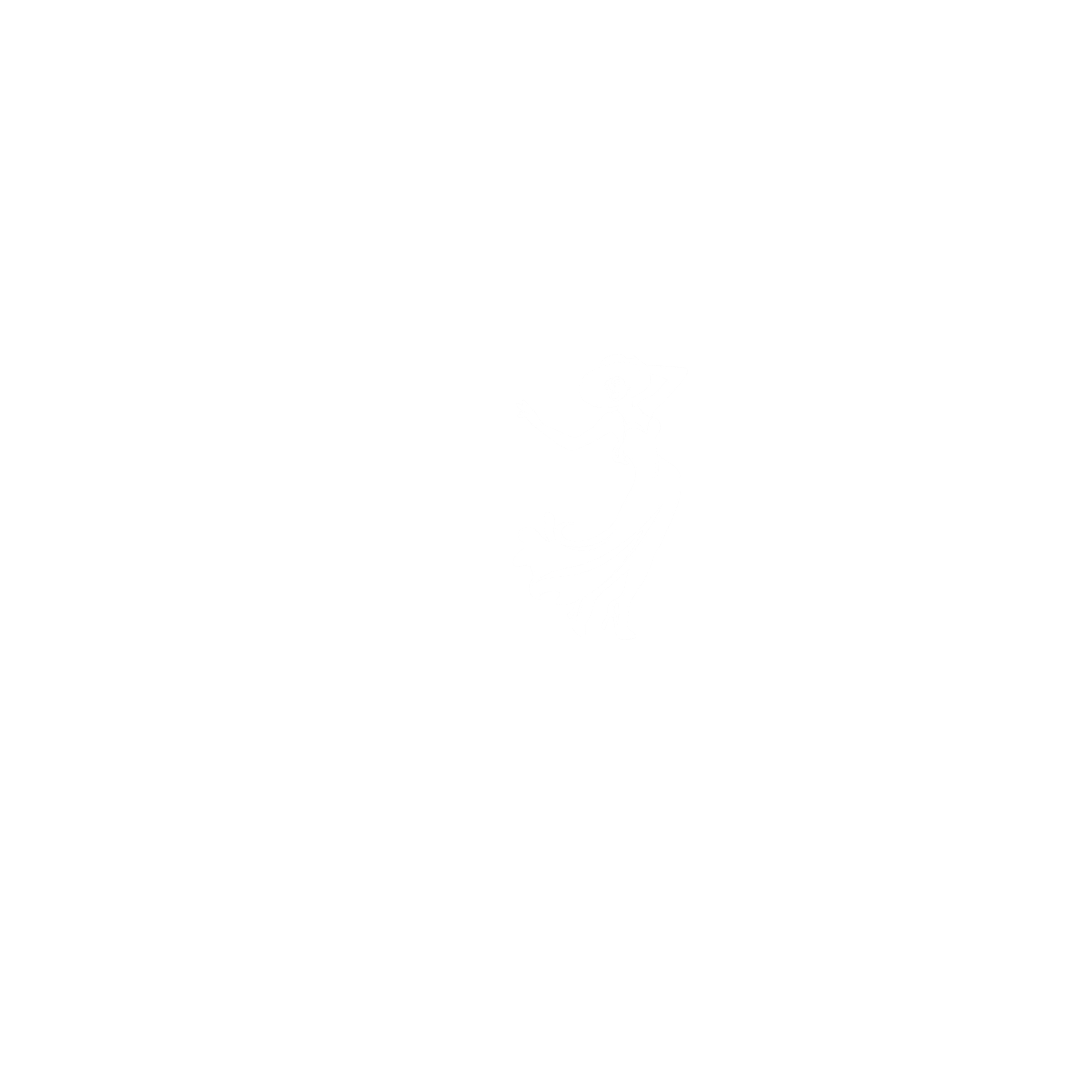 SO and the Fine Time